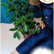 ヒメ日記 2026/03/16 23:30 投稿 弥生-やよい 熟女10000円デリヘル横浜