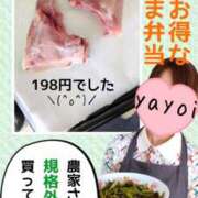 ヒメ日記 2026/08/04 18:04 投稿 弥生-やよい 熟女10000円デリヘル横浜