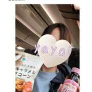ヒメ日記 2026/08/26 08:48 投稿 弥生-やよい 熟女10000円デリヘル横浜