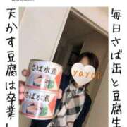 ヒメ日記 2026/09/09 06:51 投稿 弥生-やよい 熟女10000円デリヘル横浜