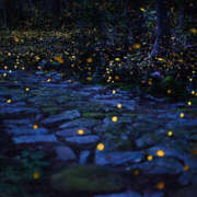 ヒメ日記 2025/05/20 12:27 投稿 きさらぎ ハピネス東京