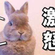 ヒメ日記 2025/07/02 08:47 投稿 きさらぎ ハピネス東京