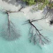 ヒメ日記 2025/07/16 06:13 投稿 きさらぎ ハピネス東京