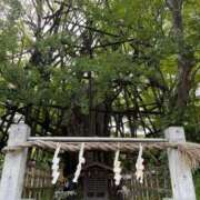 ヒメ日記 2025/07/18 01:46 投稿 きさらぎ ハピネス東京