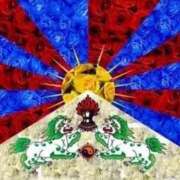 ヒメ日記 2025/11/18 16:07 投稿 きさらぎ ハピネス東京