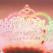 ヒメ日記 2024/11/16 14:23 投稿 つむぎ 熟女の風俗最終章 蒲田店