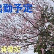 ヒメ日記 2025/02/01 10:16 投稿 三浦優妃 五十路マダムエクスプレス豊橋店（カサブランカグループ）