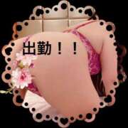 ヒメ日記 2025/03/11 07:20 投稿 三浦優妃 五十路マダムエクスプレス豊橋店（カサブランカグループ）