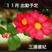 ヒメ日記 2025/11/06 14:12 投稿 三浦優妃 五十路マダムエクスプレス豊橋店（カサブランカグループ）