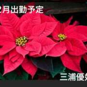 ヒメ日記 2025/12/03 10:44 投稿 三浦優妃 五十路マダムエクスプレス豊橋店（カサブランカグループ）