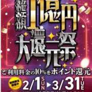 ヒメ日記 2026/03/01 08:58 投稿 三浦優妃 五十路マダムエクスプレス豊橋店（カサブランカグループ）