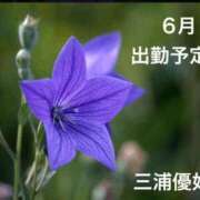 三浦優妃 出勤予定です。 五十路マダムエクスプレス豊橋店（カサブランカグループ）