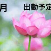 ヒメ日記 2026/06/20 19:40 投稿 三浦優妃 五十路マダムエクスプレス豊橋店（カサブランカグループ）