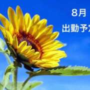 ヒメ日記 2026/08/07 11:12 投稿 三浦優妃 五十路マダムエクスプレス豊橋店（カサブランカグループ）