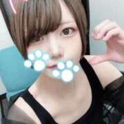 ヒメ日記 2025/07/03 18:02 投稿 りね 今から乳首を犯しにいってもいいですか？大阪店