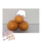 ヒメ日記 2024/12/28 13:29 投稿 るか 奥様鉄道69 岡山店