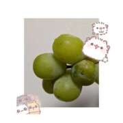 ヒメ日記 2025/09/08 18:49 投稿 るか 奥様鉄道69 岡山店