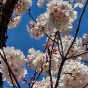 ヒメ日記 2025/04/06 11:05 投稿 うな 熟女の風俗最終章 仙台店