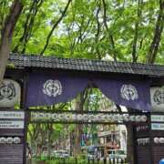 ヒメ日記 2025/05/14 10:34 投稿 うな 熟女の風俗最終章 仙台店