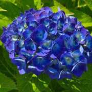 ヒメ日記 2025/06/18 16:04 投稿 うな 熟女の風俗最終章 仙台店