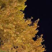 うな こんばんは🌛 熟女の風俗最終章 仙台店