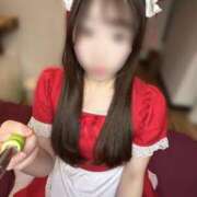 ヒメ日記 2025/02/18 22:19 投稿 こはる ラズベリードール