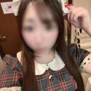 ヒメ日記 2025/03/19 09:28 投稿 こはる ラズベリードール