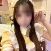 ヒメ日記 2025/04/14 21:31 投稿 こはる ラズベリードール