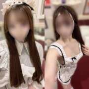 ヒメ日記 2025/06/27 18:29 投稿 こはる ラズベリードール