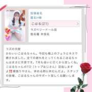 ヒメ日記 2025/07/02 12:30 投稿 こはる ラズベリードール