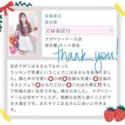 ヒメ日記 2025/08/13 15:03 投稿 こはる ラズベリードール