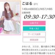 ヒメ日記 2025/09/02 19:31 投稿 こはる ラズベリードール