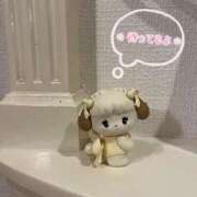 ヒメ日記 2025/10/22 09:28 投稿 こはる ラズベリードール