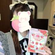 ヒメ日記 2025/11/18 12:30 投稿 こはる ラズベリードール