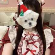 ヒメ日記 2025/12/25 15:28 投稿 こはる ラズベリードール