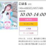 ヒメ日記 2026/08/31 08:42 投稿 こはる ラズベリードール