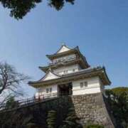 ヒメ日記 2024/12/23 12:06 投稿 めぐ 小田原人妻城