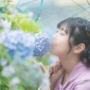 ヒメ日記 2025/08/05 22:37 投稿 月音 Grace東京