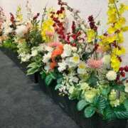 ヒメ日記 2026/02/04 18:37 投稿 月音 Grace東京