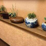 ヒメ日記 2026/02/05 20:47 投稿 月音 Grace東京