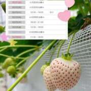 ヒメ日記 2026/01/30 14:20 投稿 あいか Ｓ＆Ｍ極嬢