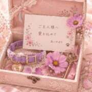 ヒメ日記 2026/09/02 22:30 投稿 あいか Ｓ＆Ｍ極嬢