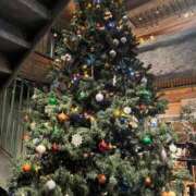 ヒメ日記 2024/12/21 02:00 投稿 松田美月(まつだみづき) 鶯谷ナンバーワン