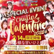 ヒメ日記 2025/02/14 14:31 投稿 さくら チューリップ姫路店