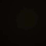 ヒメ日記 2025/02/25 23:20 投稿 さくら チューリップ姫路店