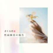 ヒメ日記 2025/03/09 10:00 投稿 さくら チューリップ姫路店