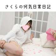 ヒメ日記 2025/03/12 17:22 投稿 さくら チューリップ姫路店