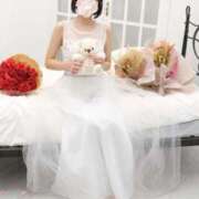 ヒメ日記 2025/03/16 10:10 投稿 さくら チューリップ姫路店