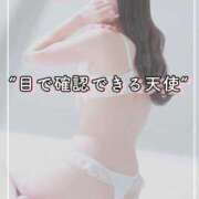 ヒメ日記 2025/04/20 07:56 投稿 さくら チューリップ姫路店