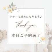 ヒメ日記 2025/11/26 07:50 投稿 さくら チューリップ姫路店